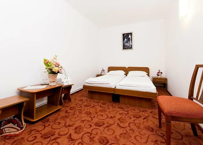 Casa Dealul Melcilor 布拉索夫