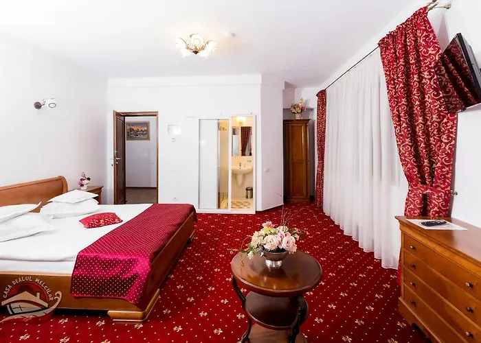 Casa Dealul Melcilor 布拉索夫