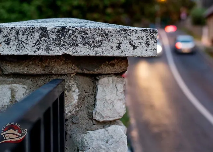 招待所 Casa Dealul Melcilor *