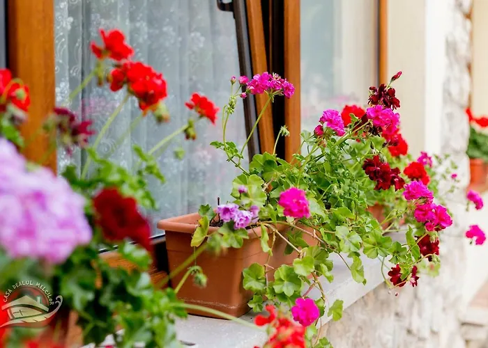 Casa Dealul Melcilor