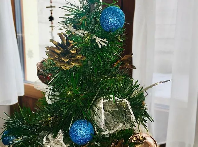 Casa Dealul Melcilor * 布拉索夫